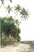 agrandir