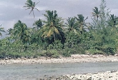 agrandir